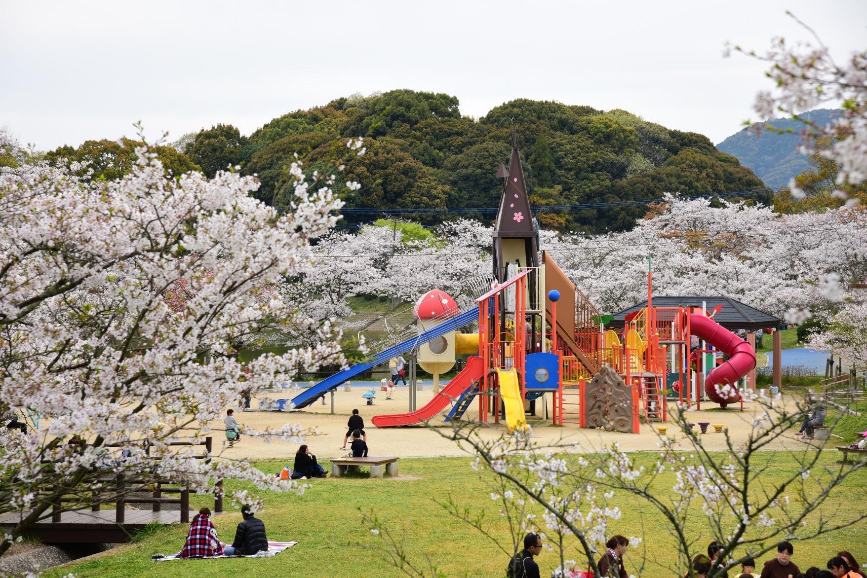 🏞️ 아마기 물의 문화 마을 (아마기 미즈노 분카무라) 이미지 5